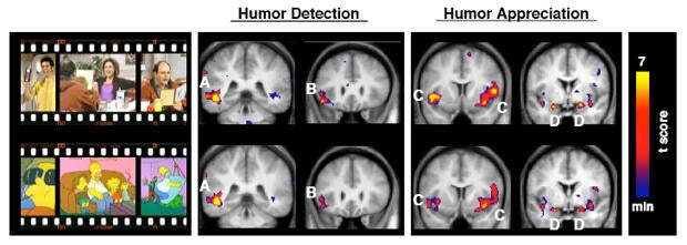joe-moran-seinfeld-brain-study.jpg
