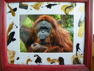orangutan-photo-in-frame.jpg