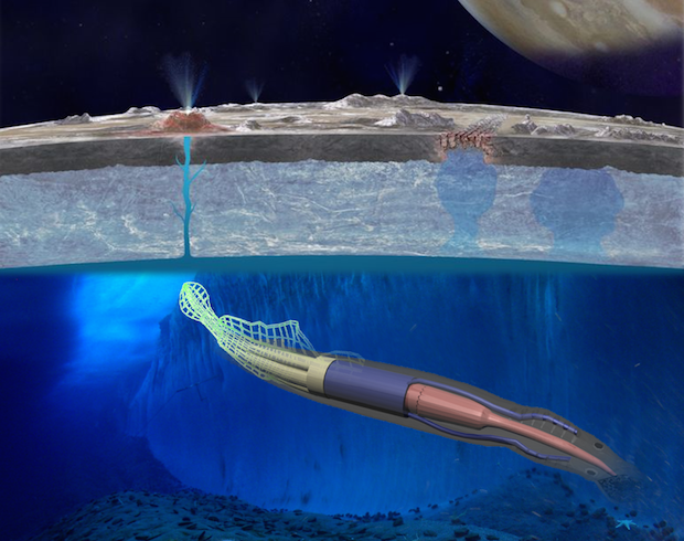 eel-robot.png