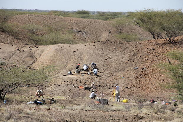 view-of-excavation1-copy.jpg