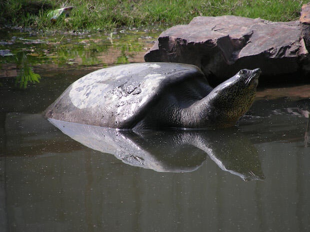 photo3.jpg