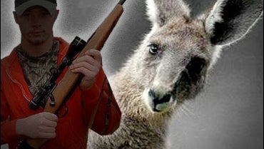 Aussies OK Another Kangaroo Hunt CBS News