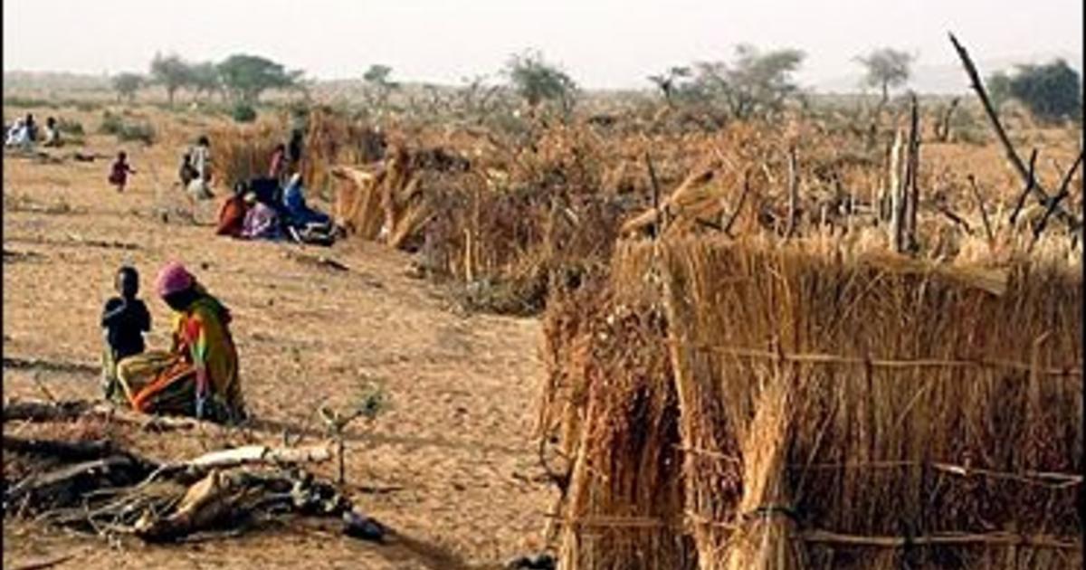 Ethnic Cleansing In Sudan 10