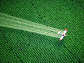 crop duster, dusting, pesticides, herbicides