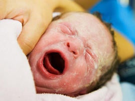 baby, newborn, child, birth, stock, 4x3
