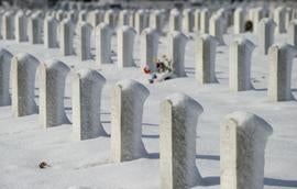 Arlington cemetery