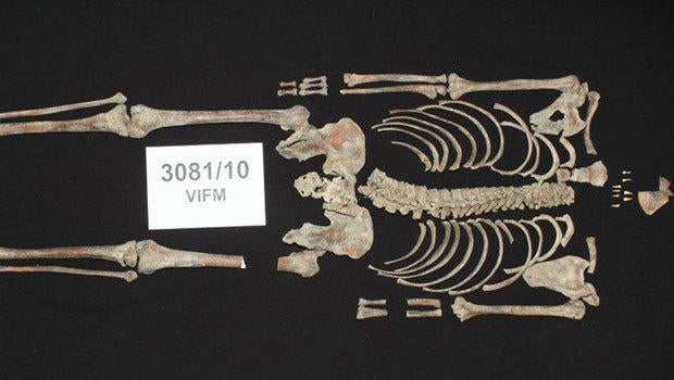 Bones of Australian bandit Ned Kelly identified�