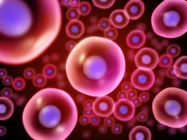 cells, 4x3, stock