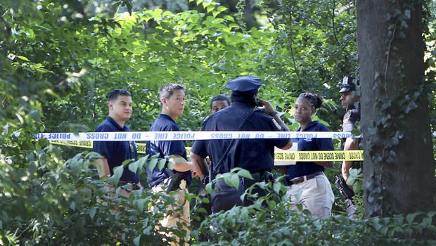 Man In Custody In Alleged Central Park Rape Of Elderly Woman In Broad ...