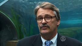 Jeffrey Bonner, president of Saint Louis Zoo.