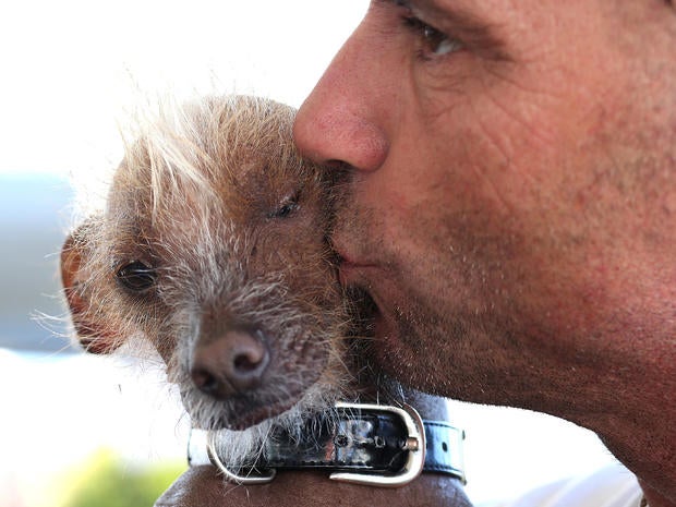 World's Ugliest Dog Contest 2013