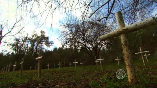 Crosses pay tribute to the 96 boys who died at Arthur G. Dozier reform school. Researchers hope to identify all their remains.