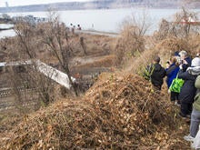 derailment_452759151.jpg