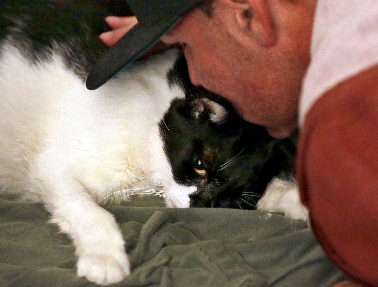 Final goodbye - Pet hospice - Pictures - CBS News