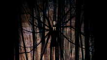 untitled.png
