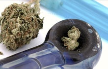 Long-term marijuana use can lead to brain damage, study shows