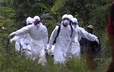 WHO delayed sounding alarm on Ebola outbreak