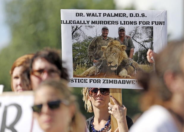 Cecil the lion killed in Africa