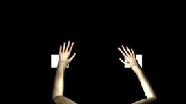 ctm-glor-monkey-hands-avatar-duke-brains.jpg