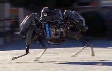 Watch: Boston Dynamics' "wild" new robot