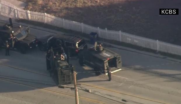 swat.jpg