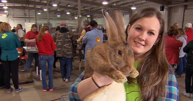The real story of the Easter Bunny Videos CBS News