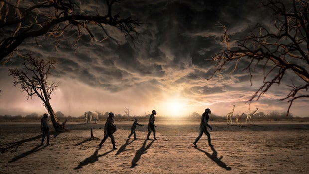 Ancient human ancestor was one tall dude, his footprints say