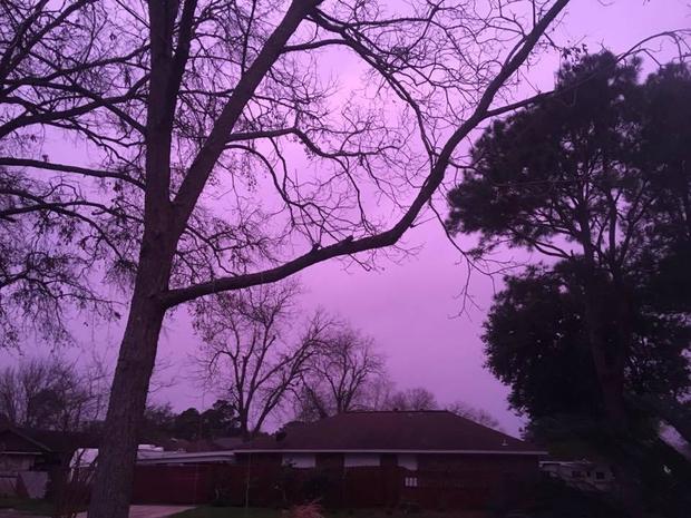 purple.jpg