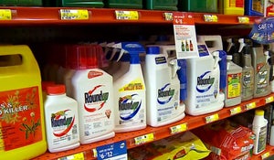 Lawsuit: Monsanto manipulated research to hide Roundup weed killer risks 
