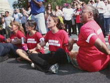 acorn-and-the-firestorm-2050-group.jpg