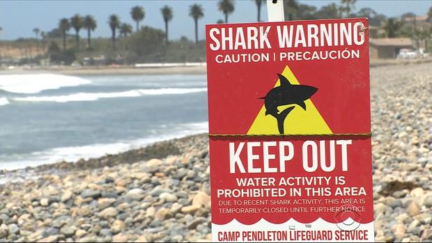 Shark attacks on the rise along the California coast Evans-shark-attacks-calif-3-2017-5-6