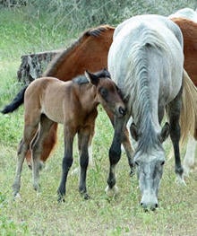 snuggling-mom-sherri-obrien-244.jpg
