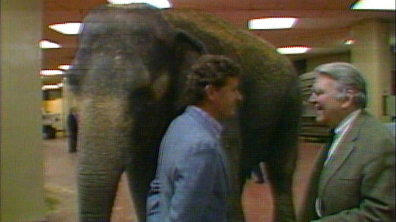 ot-rooneycircus-1319002-640x360.jpg