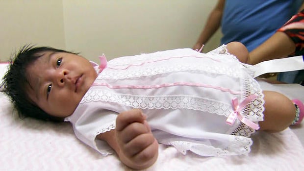 Florida focuses on renewed Zika virus threat