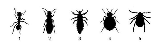 142344-web.jpg