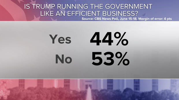 efficient-biz-poll.jpg