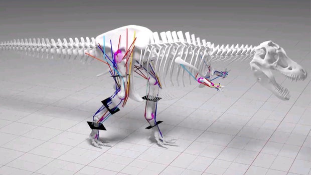 Human could have outrun T-Rex, research says Human could have outrun T-Rex, research says