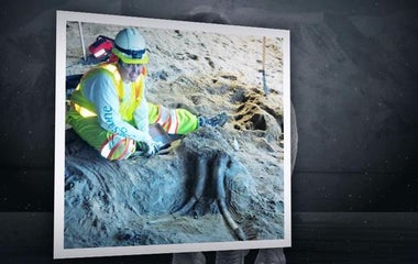 Subway construction project unearths prehistoric fossils in CA 