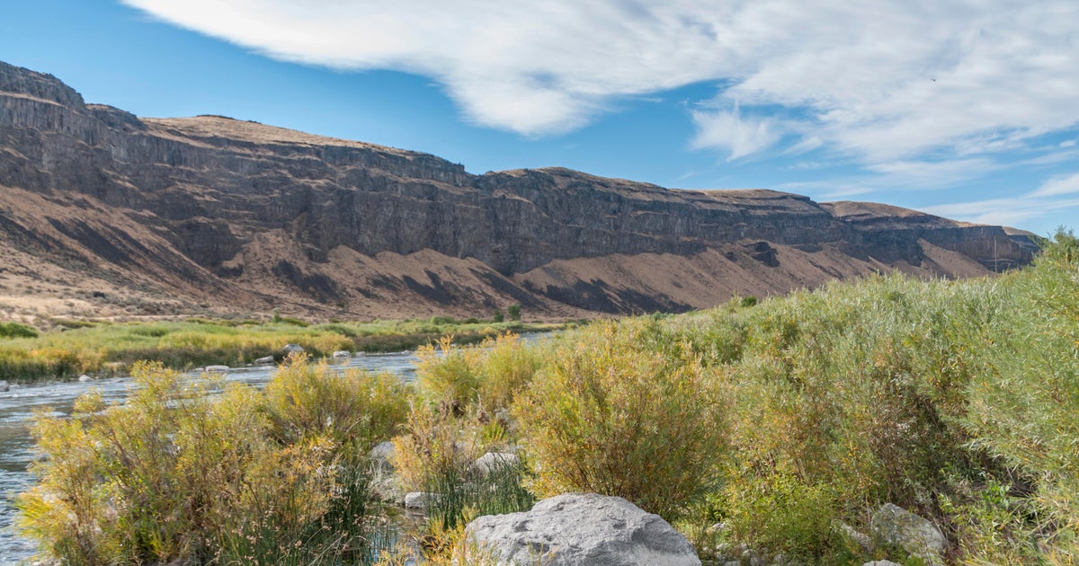 70 bipartisan mayors commit to conserving 30% of American lands by 2030 - 70 bipartisan mayors commit to conserving 30% of American lands by 2030