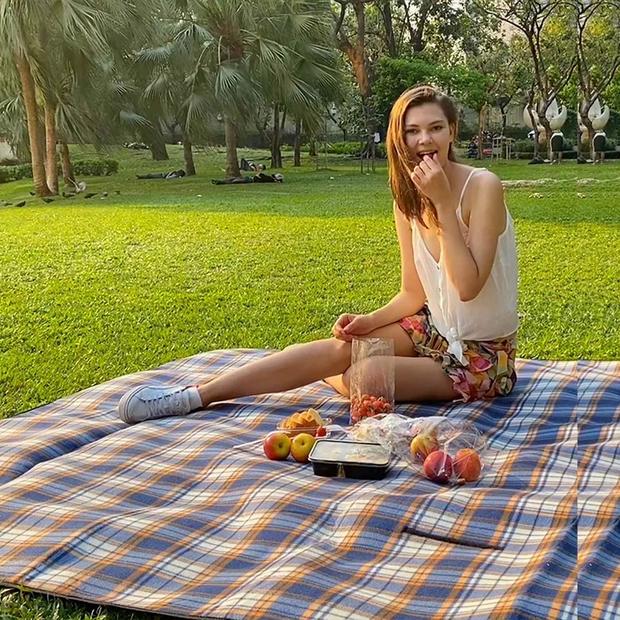 picnicblanket.jpg 