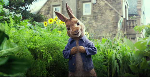 Peter rabbit 