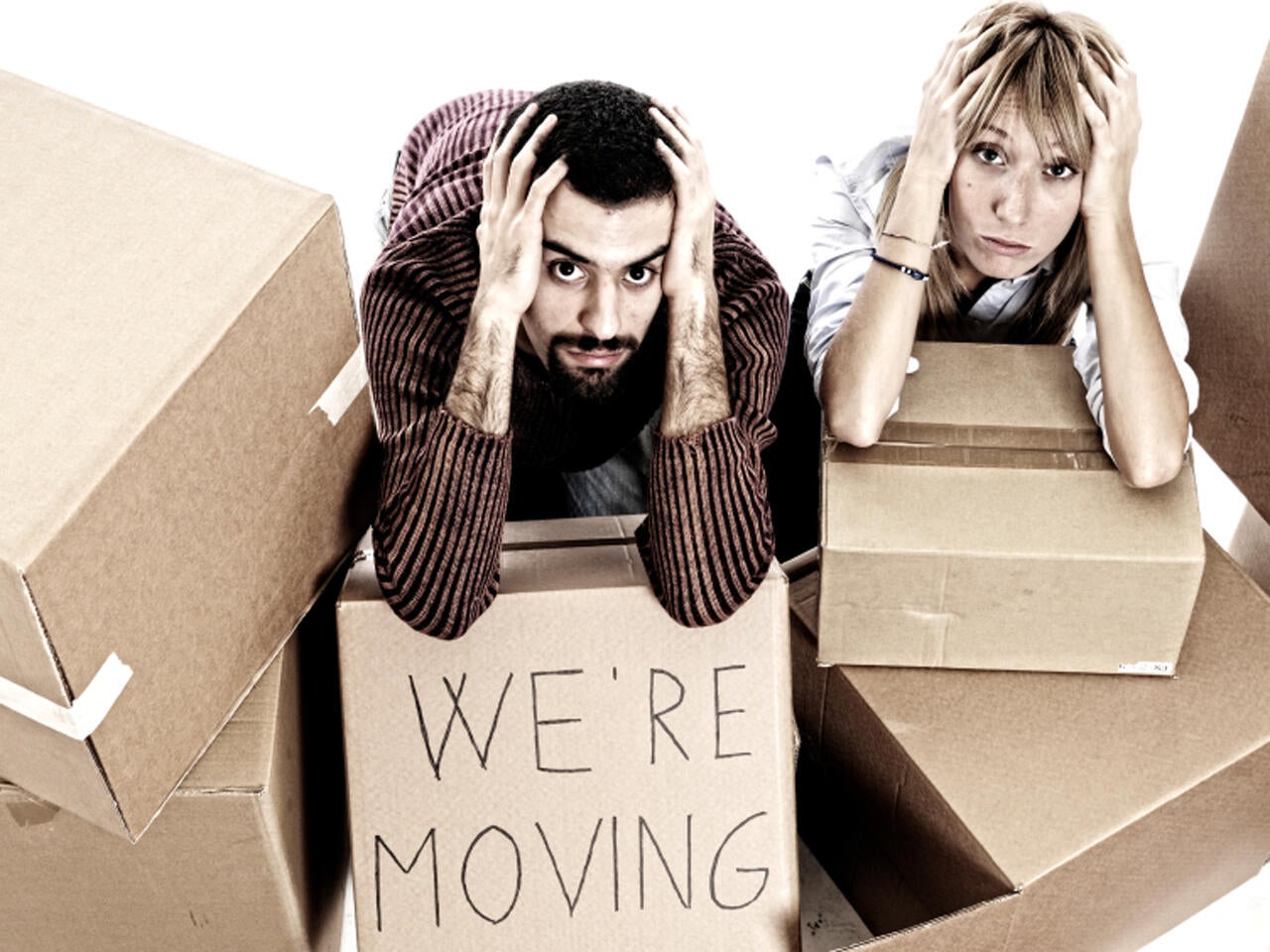 Young adults moving pic, chris geringer redhead