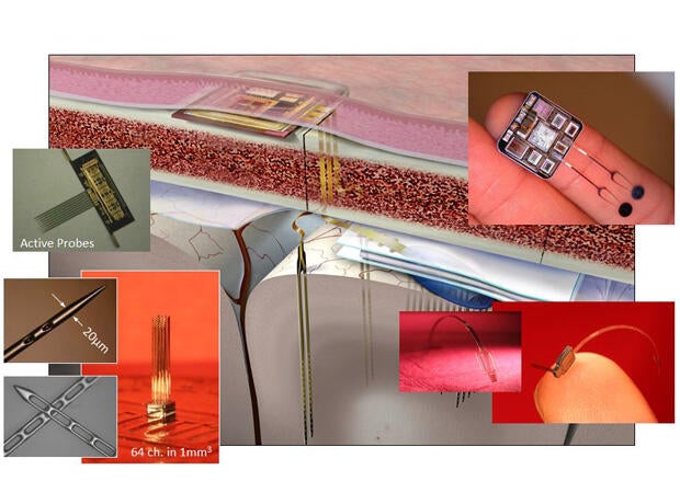 darpa-brain-chip-graphic.jpg
