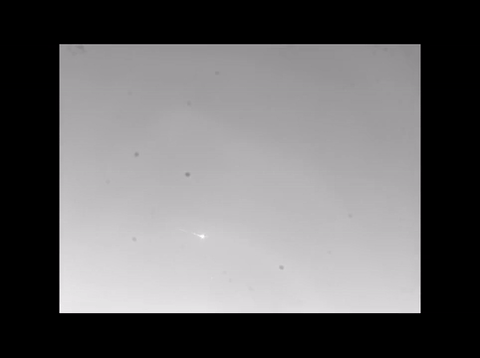giphy.gif