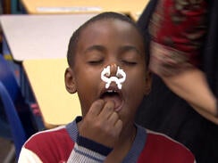 taste-smell-test-244.jpg