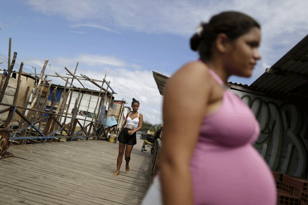 zika.gif