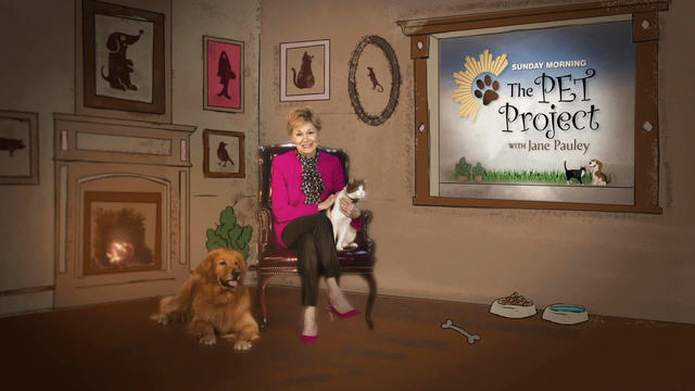 "CBS Sunday Morning: The Pet Project" 
