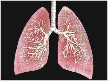 Woman Finds Possible Pair Of Lungs On LA County Sidewalk Police Say CBS News