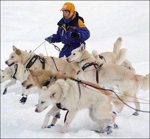 Iditarod Trail Sled Dog Race CBS News