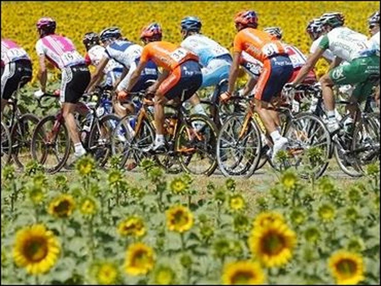 tour de france 2004 wikipedia